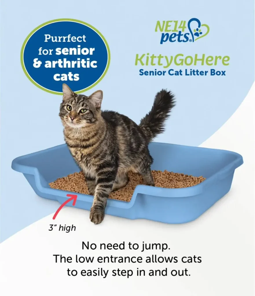 Litter Box for Senior Cats